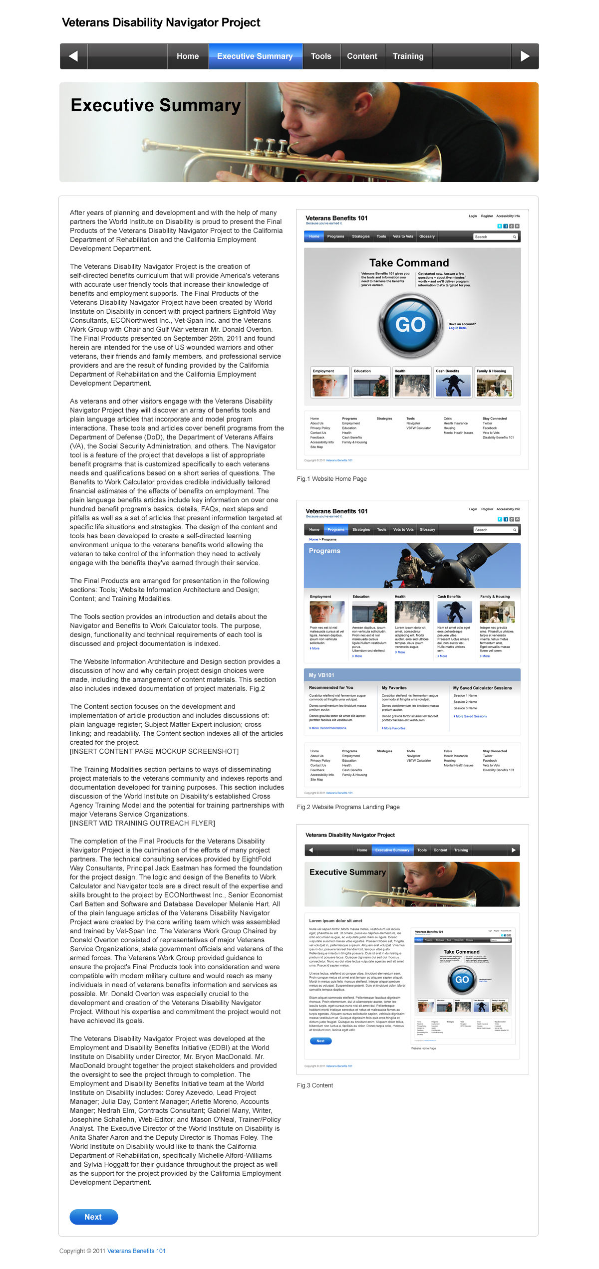 05.dvd_executive_summary_w-content.jpg